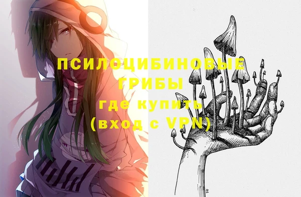 соль ск Алзамай