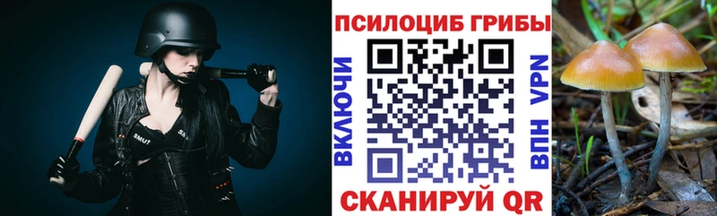 Псилоцибиновые грибы мухоморы  Рыбинск 