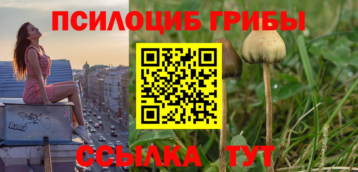 Галлюциногенные грибы Magic Shrooms  Вход с VPN  Рыбинск 